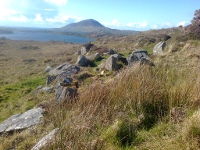 Megalithic Court tomb within the Connemara National Park