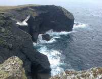 Fulmar at Aill na nGall and the South West arm of Inishshark