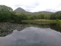 View of Diamond Hill from the Connemara National Park